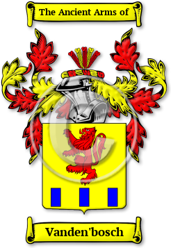 Vanden'bosch Family Crest Download (jpg) Legacy Series - 150 DPI
