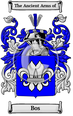 Bos Name Meaning, Family & Coats of Arms, German