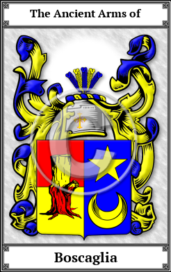 Boscaglia Family Crest Download (JPG)  Book Plated - 150 DPI