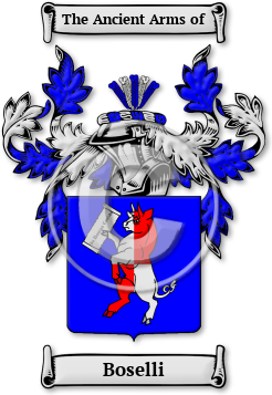 Boselli Family Crest Download (JPG) Legacy Series - 600 DPI