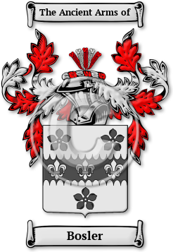 Bosler Family Crest Download (jpg) Legacy Series - 150 DPI