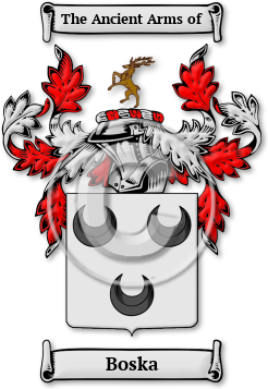 Boska Family Crest Download (jpg) Legacy Series - 150 DPI