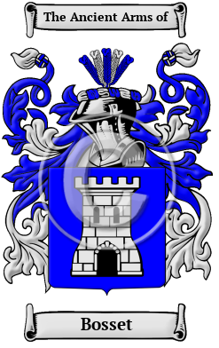 Bosset Name Meaning, Family History, Family Crest & Coats of Arms