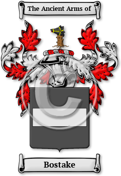 Bostake Family Crest Download (JPG) Legacy Series - 600 DPI