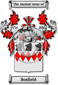 Bosfield Family Crest Download (JPG) Legacy Series - 600 DPI