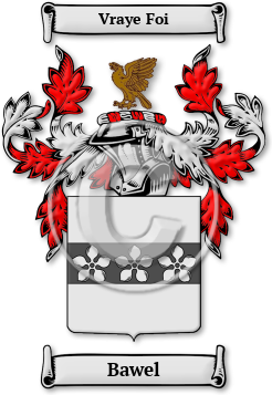 Bawel Family Crest Download (jpg) Legacy Series - 150 DPI