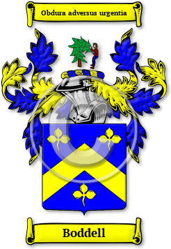 Boddell Family Crest Download (jpg) Legacy Series - 150 DPI