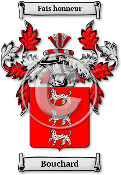 Bouchard Family Crest Download (jpg) Legacy Series - 150 DPI