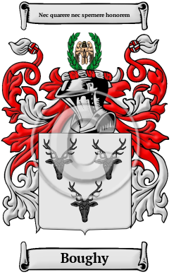 Boughy Family Crest Download (JPG) Heritage Series - 600 DPI