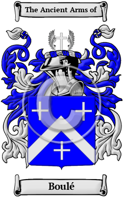 Boulé Family Crest/Coat of Arms