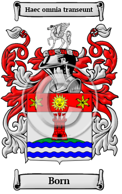 Born Family Crest/Coat of Arms