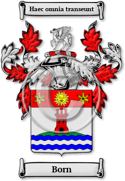 Born Family Crest Download (JPG) Legacy Series - 600 DPI