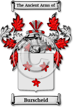 Burscheid Family Crest Download (jpg) Legacy Series - 150 DPI