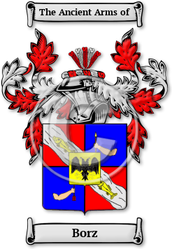 Borz Family Crest Download (jpg) Legacy Series - 150 DPI