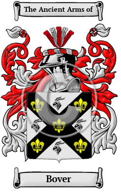 Bover Family Crest/Coat of Arms