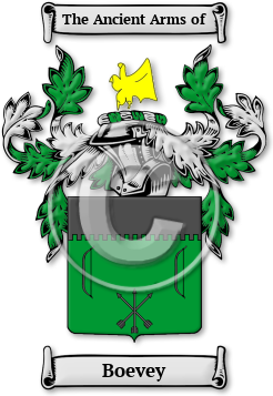Boevey Family Crest Download (jpg) Legacy Series - 150 DPI