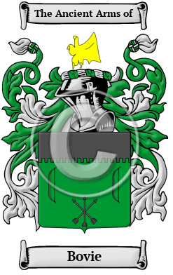 Bovie Family Crest Download (JPG) Heritage Series - 600 DPI