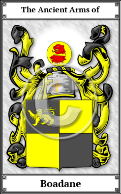 Boadane Family Crest Download (JPG)  Book Plated - 150 DPI