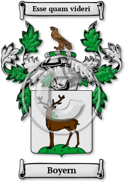Boyern Family Crest Download (jpg) Legacy Series - 150 DPI