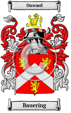 Bauering Family Crest/Coat of Arms