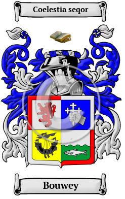 Bouwey Family Crest/Coat of Arms