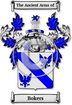 Bokers Family Crest Download (JPG) Legacy Series - 600 DPI