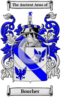 Boucher Family Crest Download (JPG) Heritage Series - 600 DPI