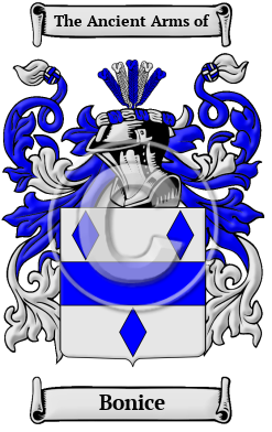 Bonice Family Crest/Coat of Arms