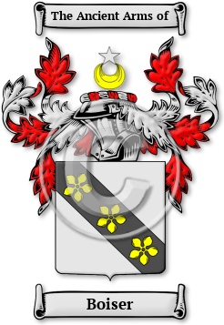 Boiser Family Crest Download (jpg) Legacy Series - 150 DPI