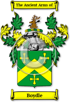 Boydle Family Crest Download (jpg) Legacy Series - 150 DPI