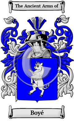 Boyé Family Crest/Coat of Arms