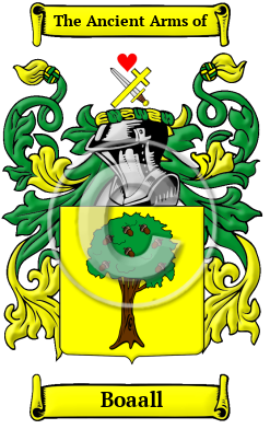 Boaall Family Crest/Coat of Arms