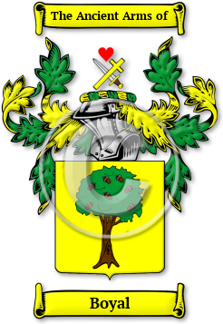 Boyal Family Crest Download (jpg) Legacy Series - 150 DPI