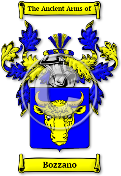 Bozzano Family Crest Download (jpg) Legacy Series - 150 DPI