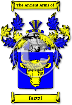 Buzzi Family Crest Download (JPG) Legacy Series - 600 DPI