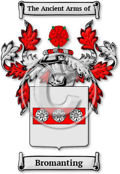 Bromanting Family Crest Download (JPG) Legacy Series - 600 DPI