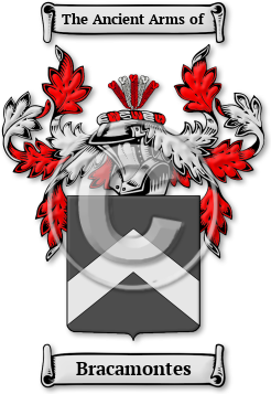 Bracamontes Family Crest Download (JPG) Legacy Series - 600 DPI