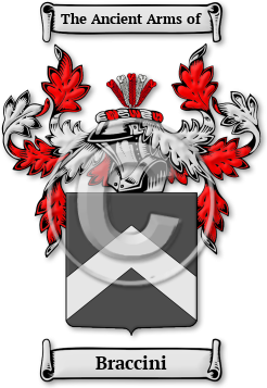 Braccini Family Crest Download (jpg) Legacy Series - 150 DPI