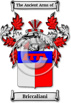 Briccaliani Family Crest Download (jpg) Legacy Series - 150 DPI