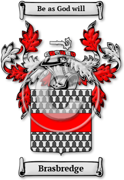 Brasbredge Family Crest Download (jpg) Legacy Series - 150 DPI