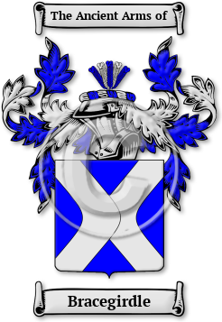 Bracegirdle Family Crest Download (jpg) Legacy Series - 150 DPI