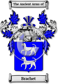 Brachet Family Crest Download (jpg) Legacy Series - 150 DPI