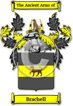 Brachell Family Crest Download (jpg) Legacy Series - 150 DPI