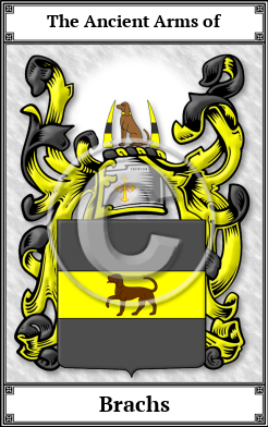 Brachs Family Crest Download (JPG)  Book Plated - 150 DPI