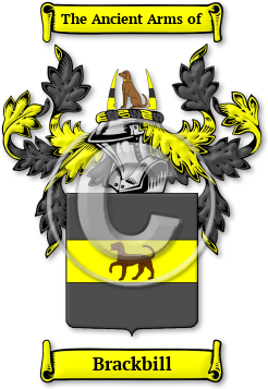 Brackbill Family Crest Download (jpg) Legacy Series - 150 DPI
