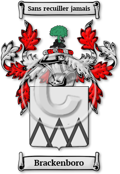 Brackenboro Family Crest Download (jpg) Legacy Series - 150 DPI