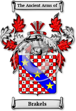 Brakels Family Crest Download (jpg) Legacy Series - 150 DPI