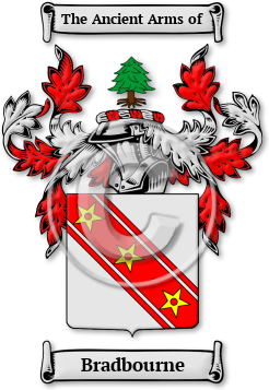 Bradbourne Family Crest Download (jpg) Legacy Series - 150 DPI