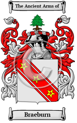 Braeburn Family Crest/Coat of Arms