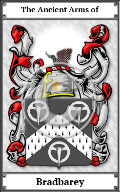 Bradbarey Family Crest Download (JPG) Book Plated - 600 DPI